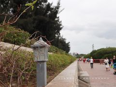 -宝安西湾红树林湿地公园