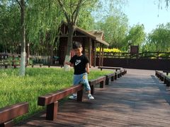 -西青郊野公园