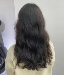 -YESIDO椰岛造型