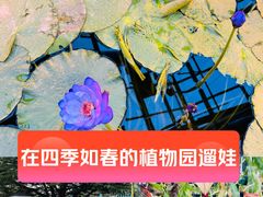 -国家植物园南园