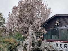 -后海彼岸花园餐厅