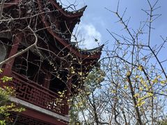 -汇龙潭