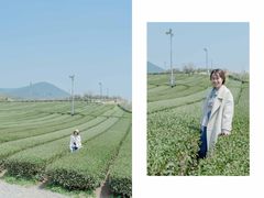 -雪绿茶博物馆