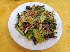 -鸽王世家(东华东路店)