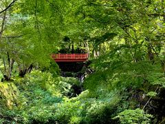 -三千院
