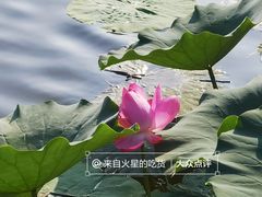 -前关湿地公园