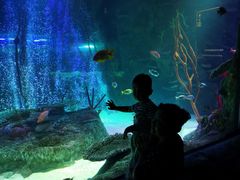 -沈阳海洋探索中心