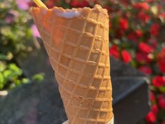 -成裕雪糕店(士多店)