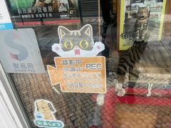-甜艺廊(永利皇宫店)