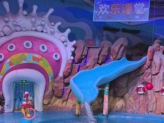 -烟台海昌鲸鲨海洋公园