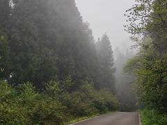 -武陵山森林公园