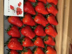 牛奶京藏香草莓-心乐生活新鲜屋(星海广场店)