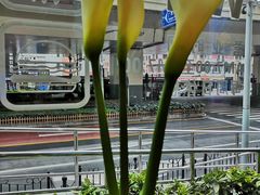 -茶缸AMOKKA COFFEE