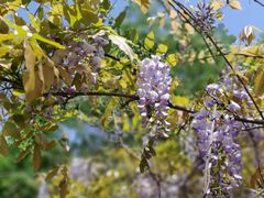 -双拥公园