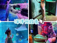 -沈阳海洋探索中心