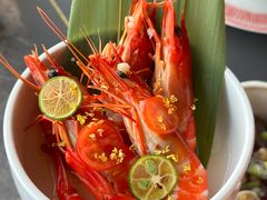 -Hi City·城市之巅