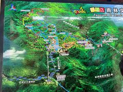 -呀诺达热带雨林