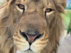 -海底捞火锅(老城根店)