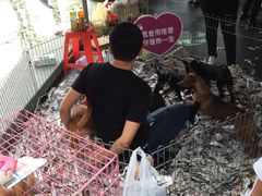 -统一梦时代购物中心