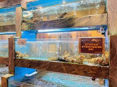 -佳丽海鲜大酒楼(环岛海景店)