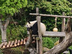 -宁波野生动物园