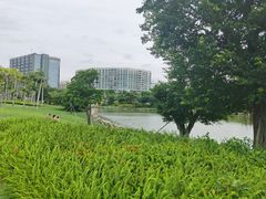 -宝安西湾红树林湿地公园