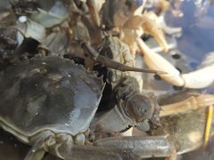 -一号码头蒸汽海鲜自助