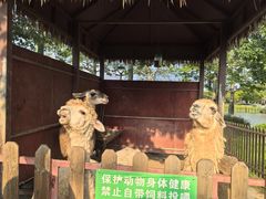 -王借岗森林公园
