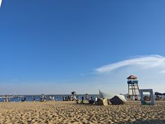 -碧海金沙