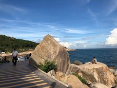 -广东惠东海龟国家级自然保护区