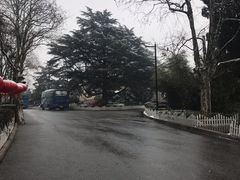 -青岛德国总督楼旧址博物馆