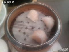 虾饺-糖朝(尖沙咀店)