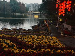 -荔湾湖公园
