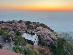-泰山风景名胜区