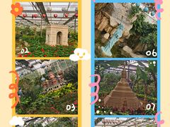 -南宫五洲植物乐园