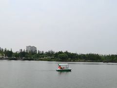 -上海长兴岛郊野公园