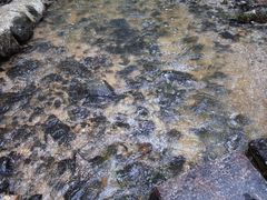 -白水寺森林公园