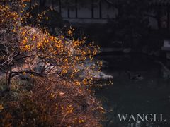 -太平天国历史博物馆(瞻园)