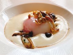 -蝶舍·MAISON PAPILLON