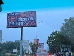 -枫花园汽车电影院(朝阳公园店)