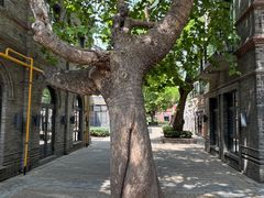 -绿地·中山里