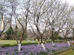 -白塘生态植物园