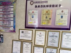 -宠爱国际动物医院·疑难骨科·心肾内科·皮肤科(太阳宫店)