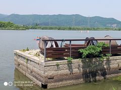 -长田漾湿地公园