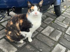 -华东政法大学(松江校区)