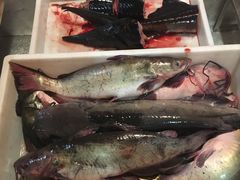 -王老六铁锅炖鱼(长春路店)
