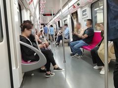 -东方体育中心(地铁站)