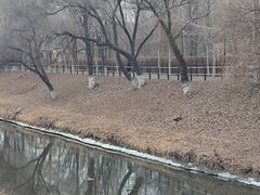 -黛秀湖公园
