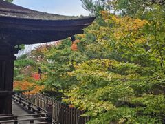 -常寂光寺