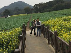 -广州市石门国家森林公园
